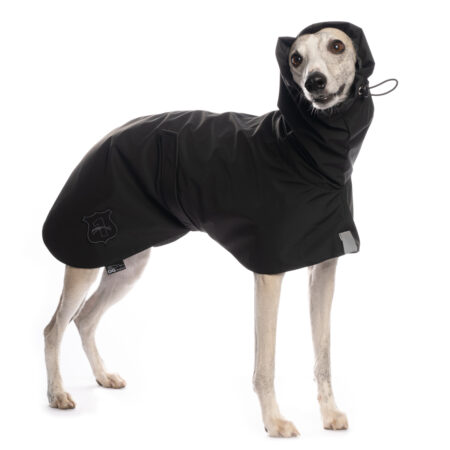 DG BASIC RAINCOAT LIGHT 2023 – „BLACK