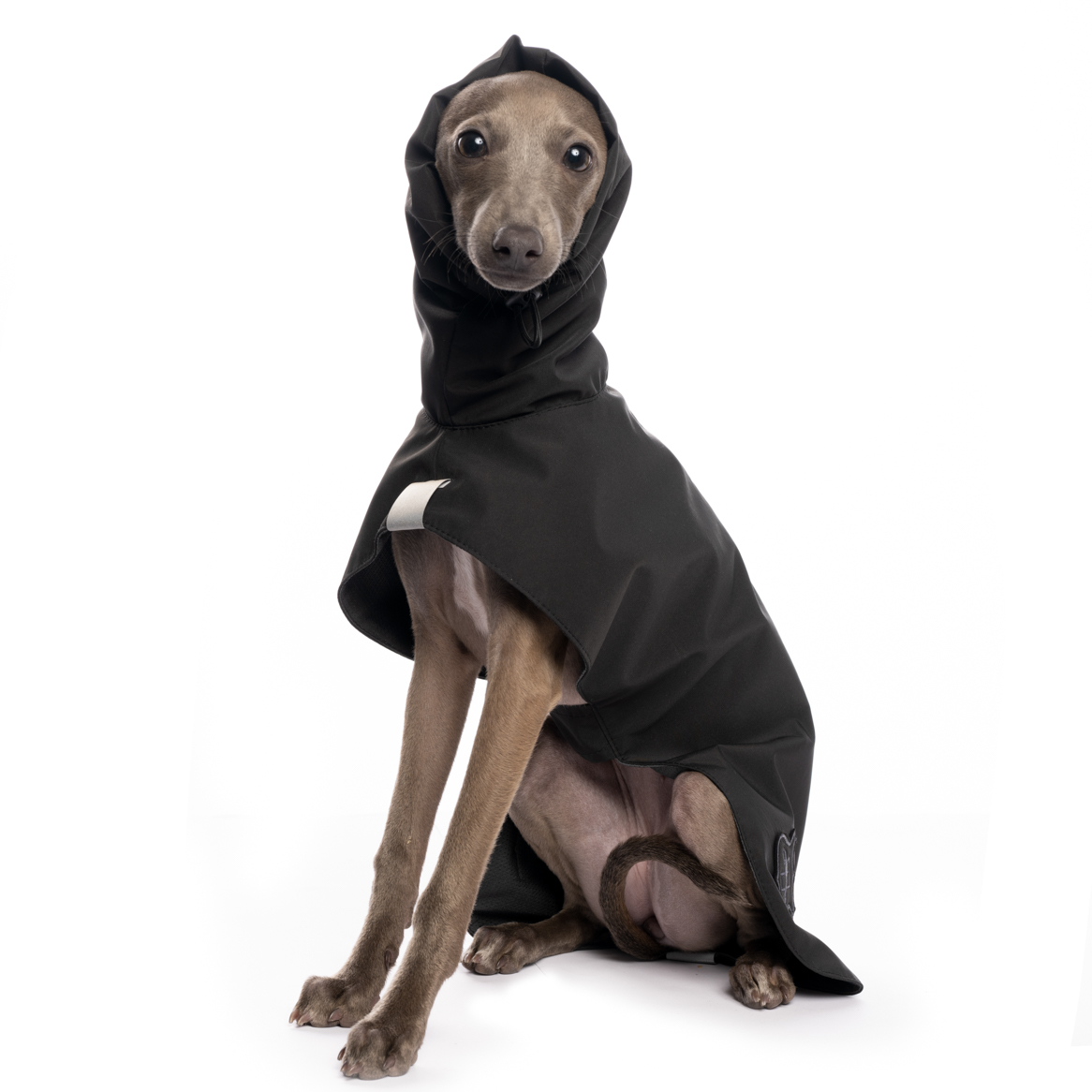 DG BASIC RAINCOAT LIGHT 2023 - "BLACK – Bild 3