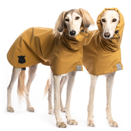 DG BASIC RAINCOAT LIGHT „CAMEL