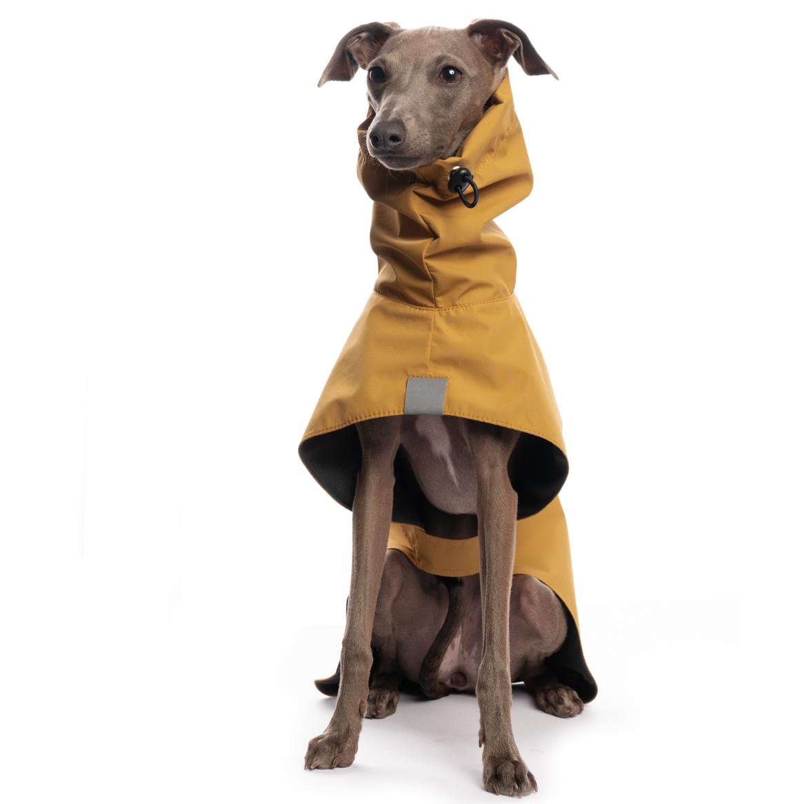 DG BASIC RAINCOAT LIGHT "CAMEL – Bild 3