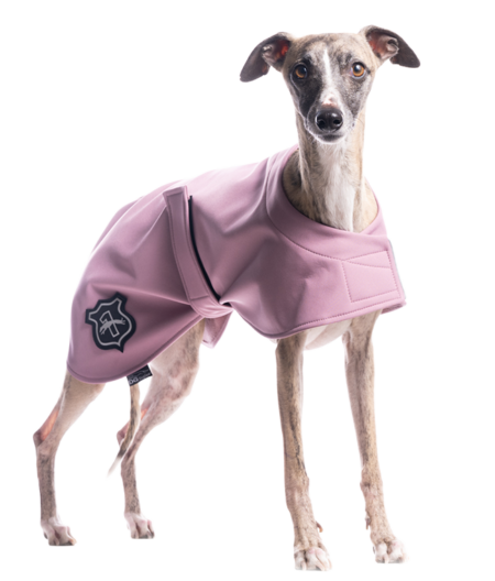 DG BASIC BLANKET „ASH ROSE“