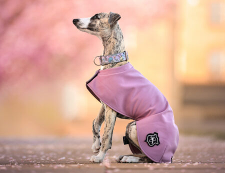 DG BASIC BLANKET “ASH ROSE”