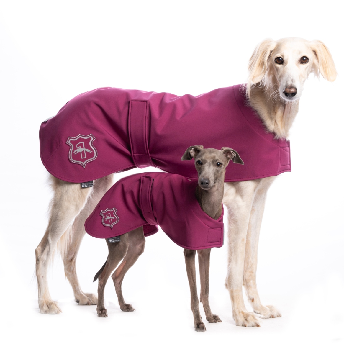 DG BASIC DEČKA "FUCHSIA - Obrázek 2