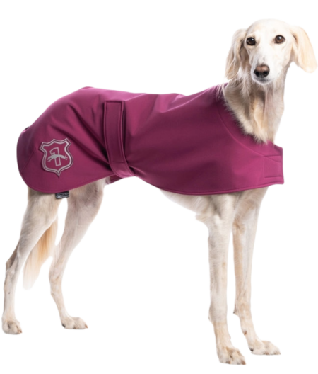 DG BASIC DEČKA „FUCHSIA