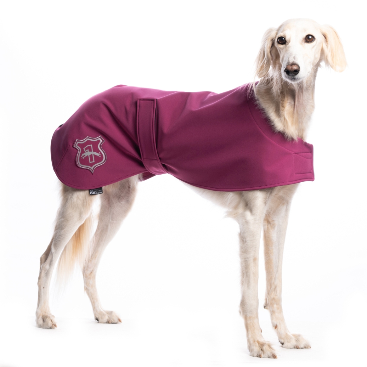 DG BASIC DEČKA "FUCHSIA