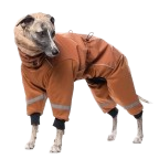 OVERALY