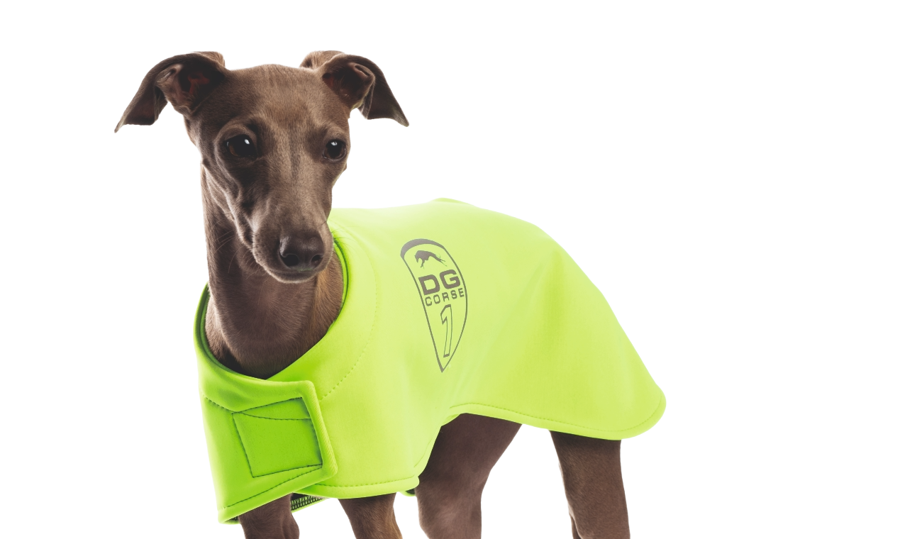 SAFETY KOLEKCE