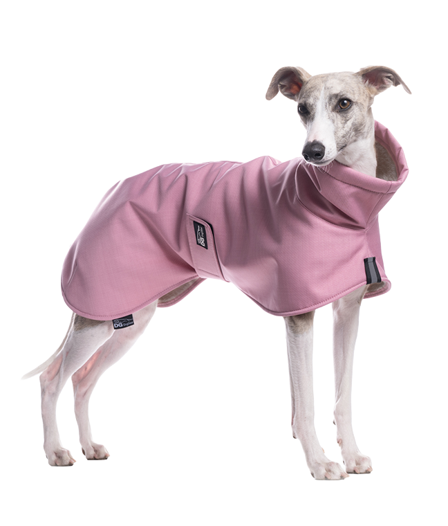 DG BASIC JACKE "DUSTY ROSE