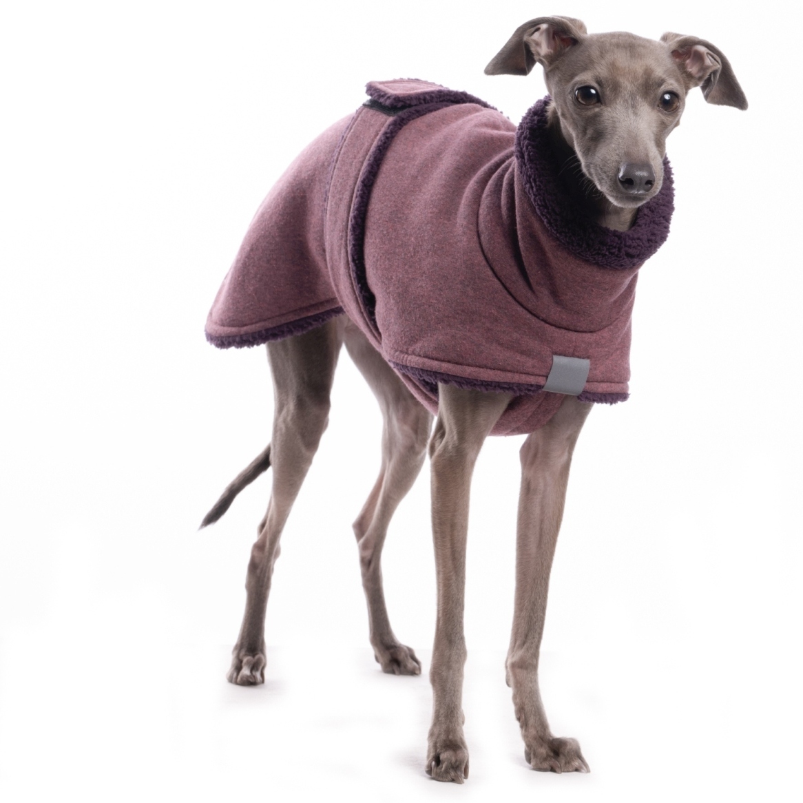 DG IG COTTON JACKET "PINK / PLUM" - Image 2