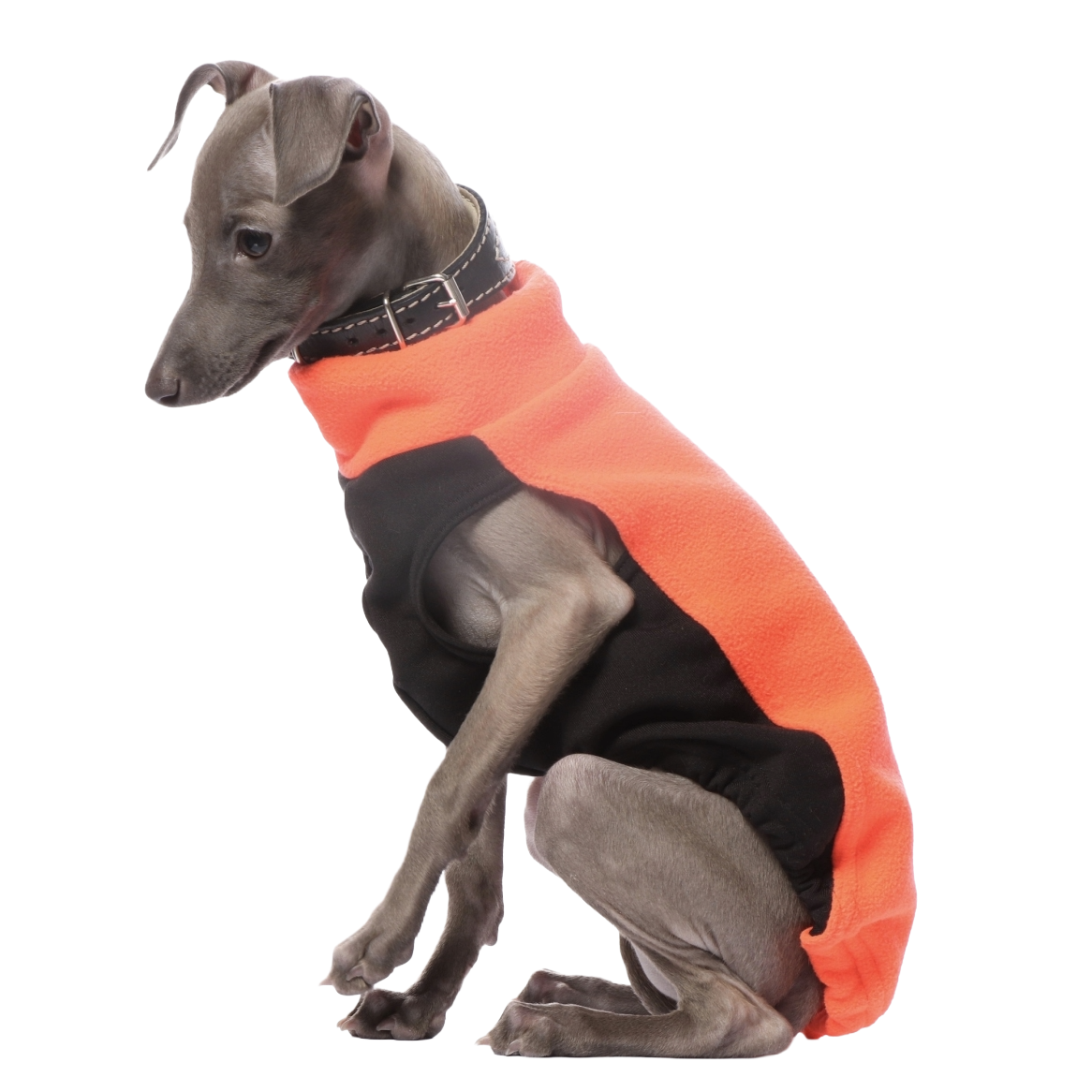 DG IG PUPPY TOP "NEON ORANGE – Bild 2