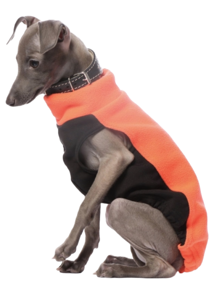 DG IG PUPPY TOP „NEON ORANGE