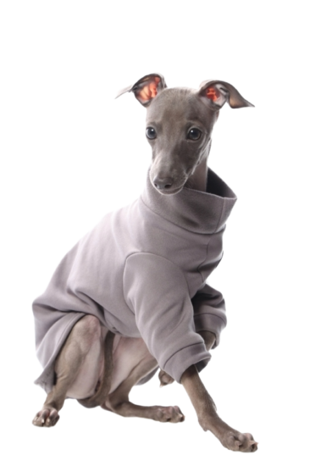 DG IG PUPPY SWEATHIRT „GREY