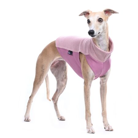 DG BAUMWOLLUNTERWÄSCHE „PIQUE PINK
