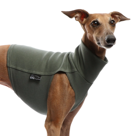 DG BAUMWOLLUNTERWÄSCHE SIMPLE „KHAKI