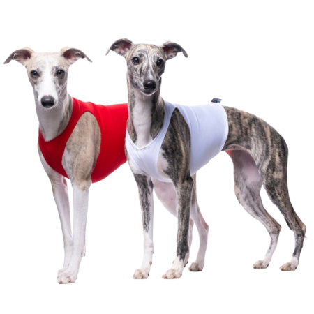 DG SET COURSING-SHIRTS „ENDURANCE“ SET 2 STK