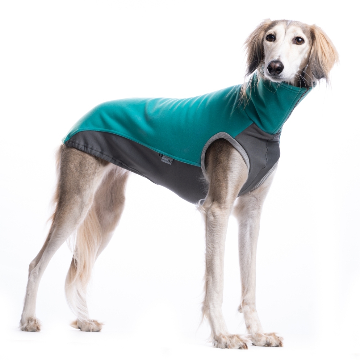 DG LIMITED JUMPER "LATIGO BAY