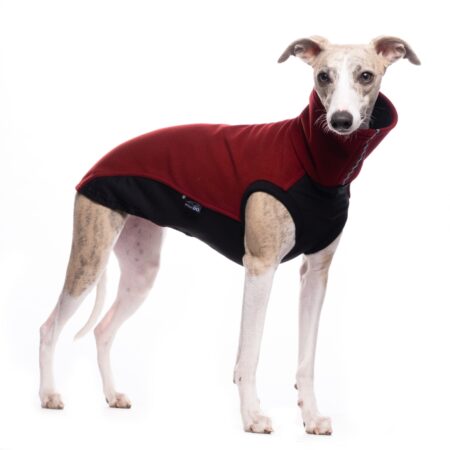 DG LIMITED JUMPER „TIBETAN RED