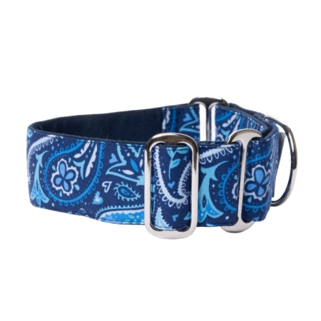 BLUE PAISLEY