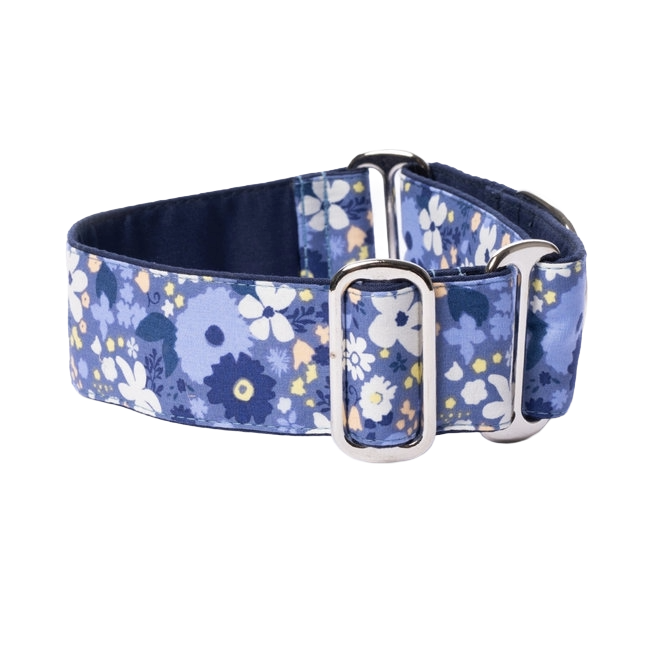 BLUE WINDFLOWERS
