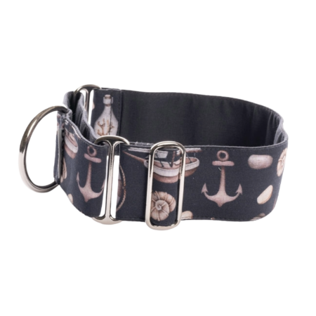 SHELLS AND ANCHORS