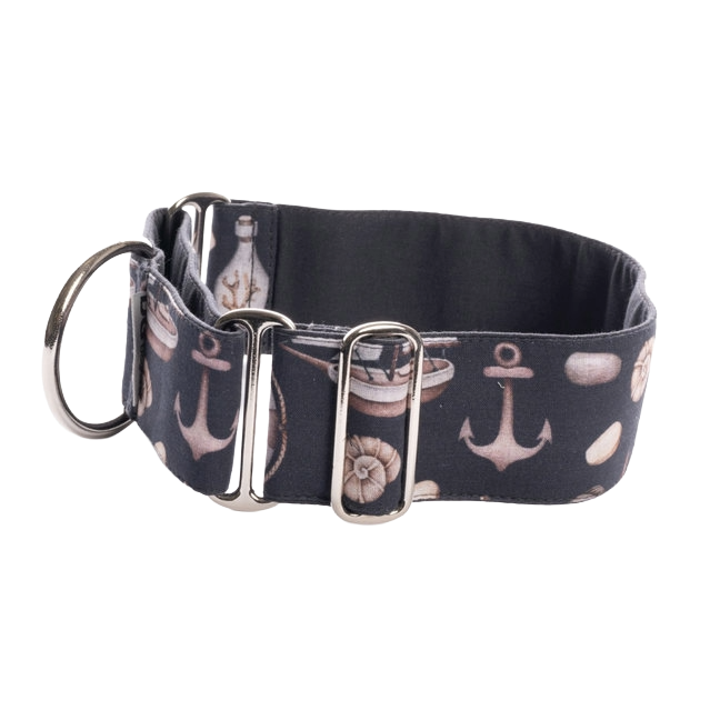 SHELLS AND ANCHORS