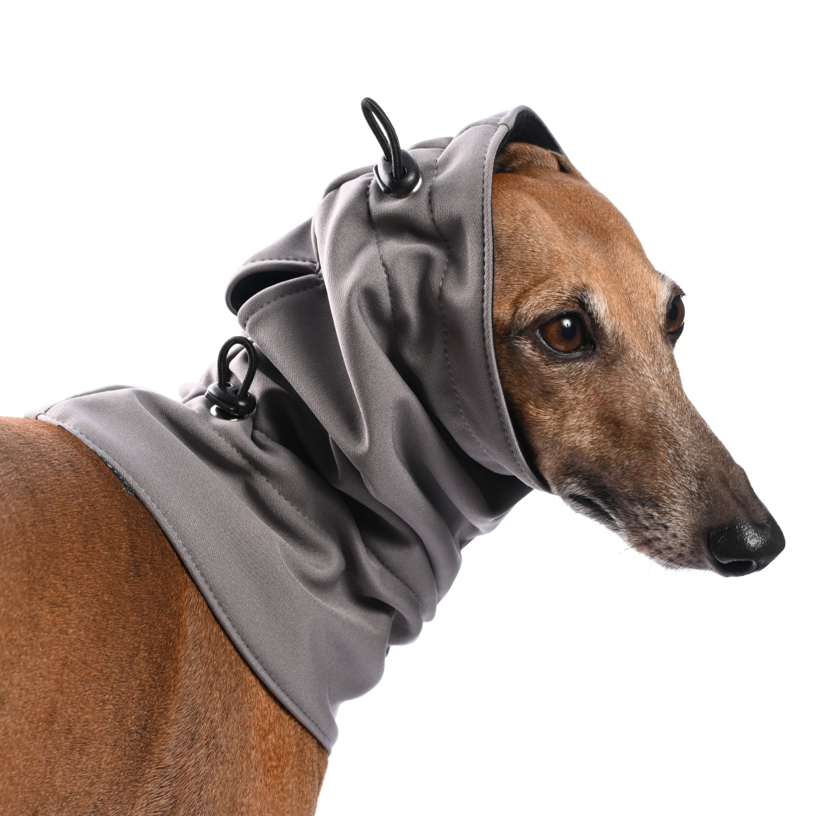 DG SOFT SHELL SCHAL "GREY – Bild 4