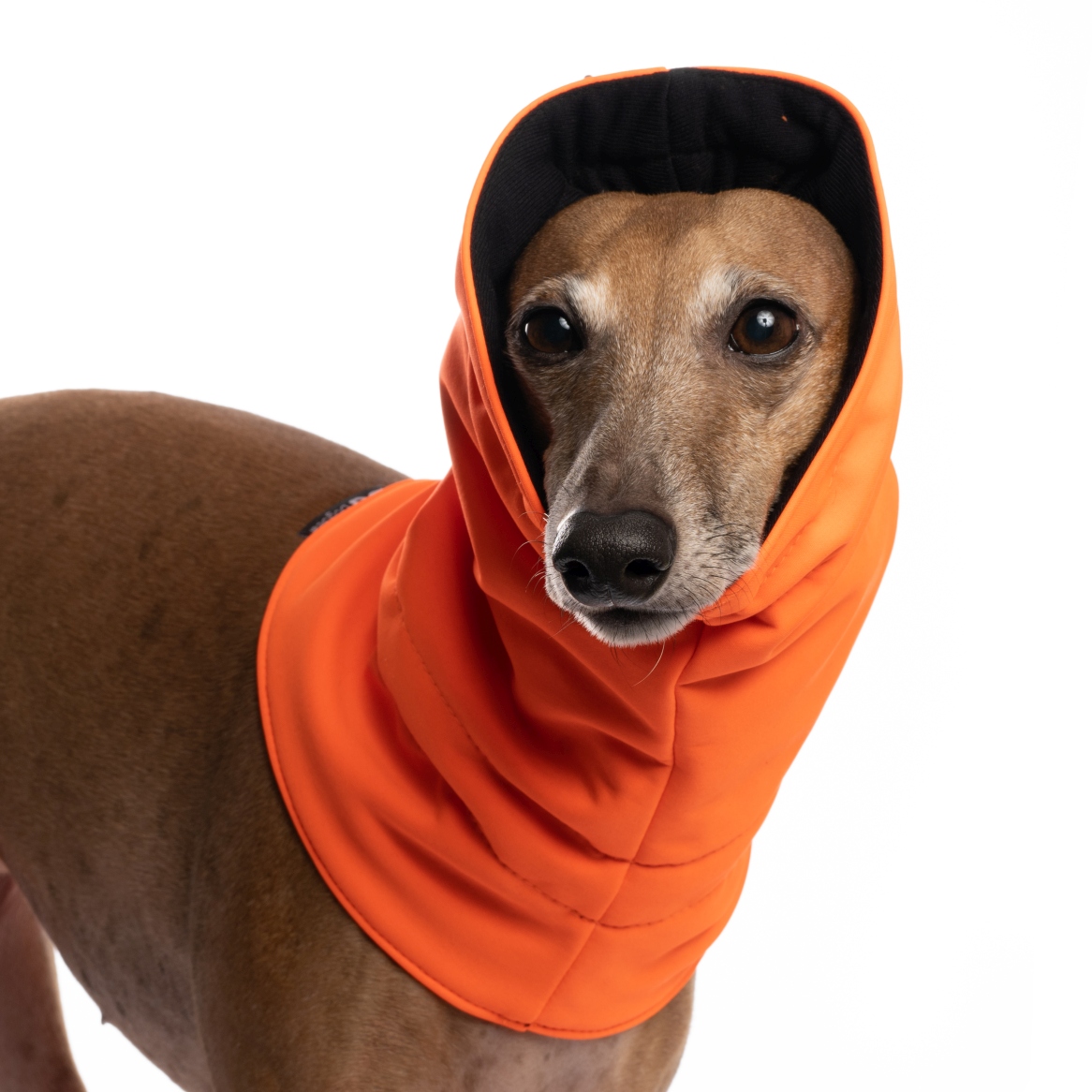 DG SOFT SHELL SNOODS "NEON ORANGE" - Image 3
