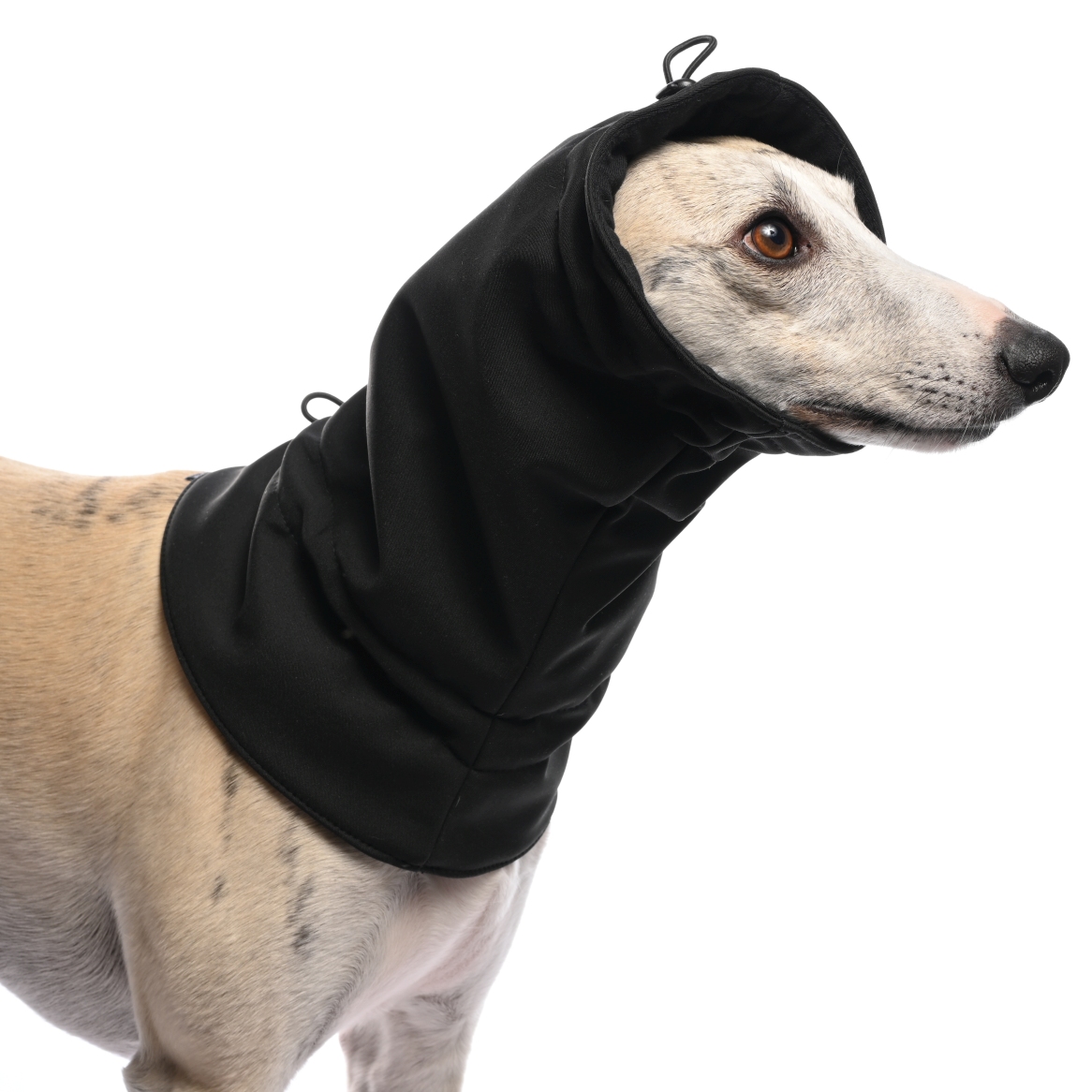 DG SOFT SHELL NÁVLEK "BLACK - Obrázek 4