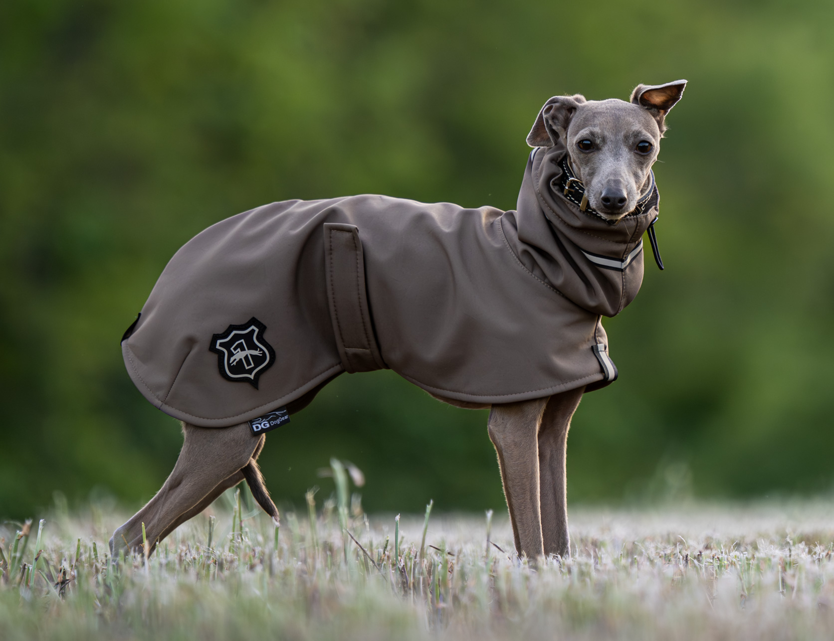 DG BASIC LIGHT JACKE "DRIFTWOOD – Bild 7