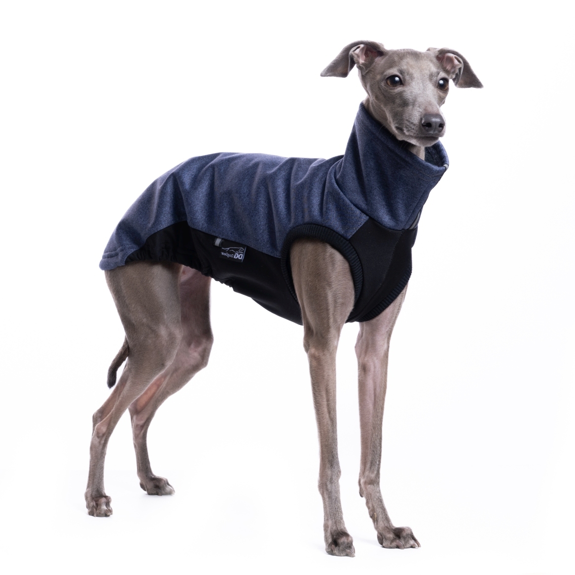 DG URBAN SOFT SHELL JUMPER "CROWN BLUE - Obrázek 2