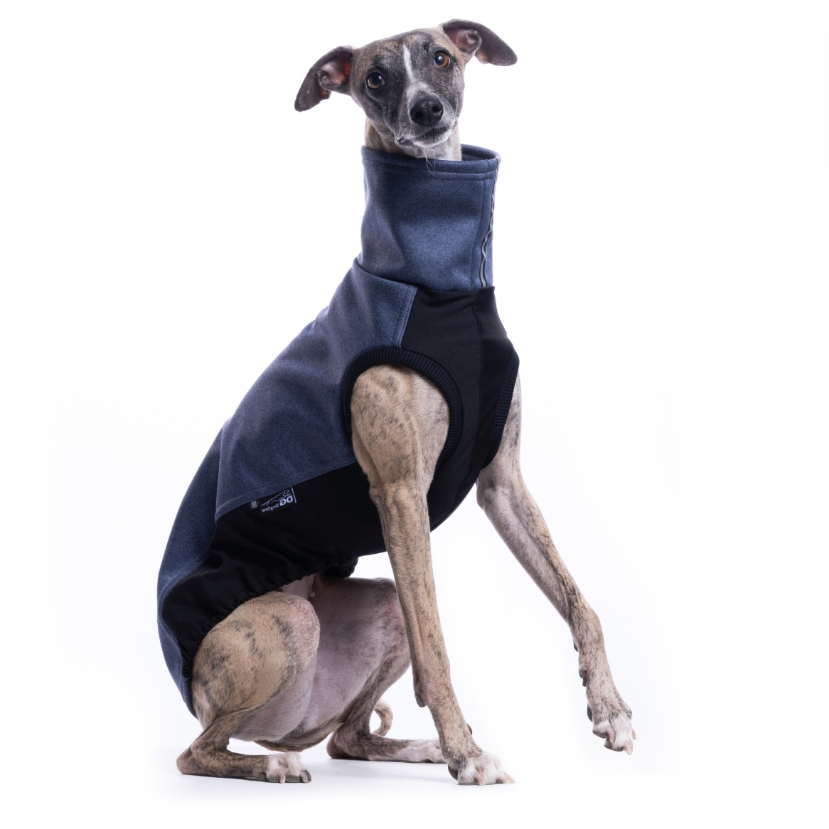 DG URBAN SOFT SHELL JUMPER "CROWN BLUE - Obrázek 3