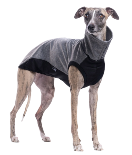 DG URBAN SOFT SHELL JUMPER „NIGHT OWL