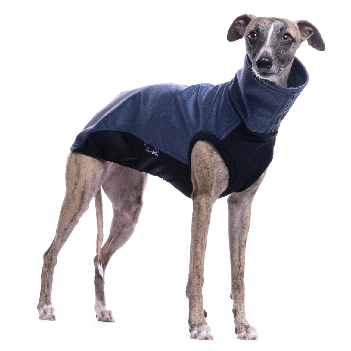 DG URBAN SOFT SHELL JUMPER "CROWN BLUE - Obrázek 4