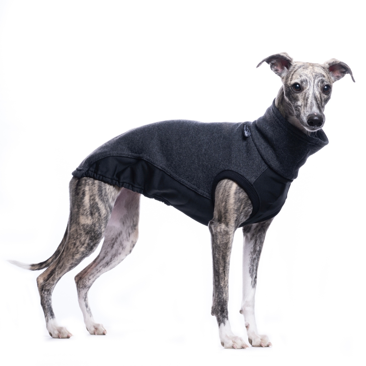 DG OUTDOOR JUMPER "ANTRACIT