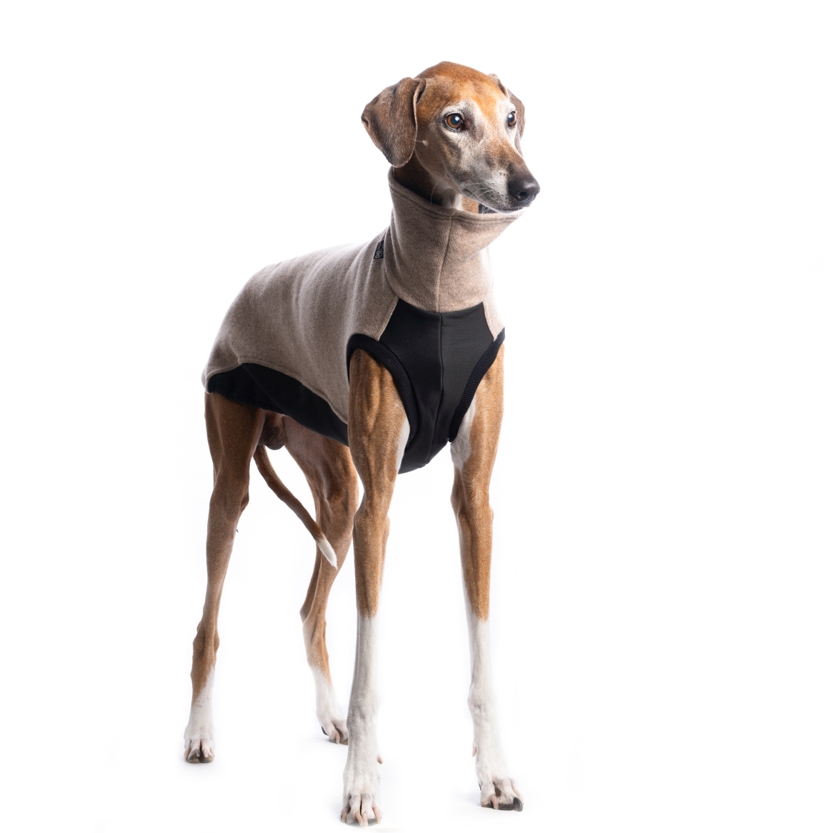 DG OUTDOOR JUMPER "BEIGE - Obrázek 4