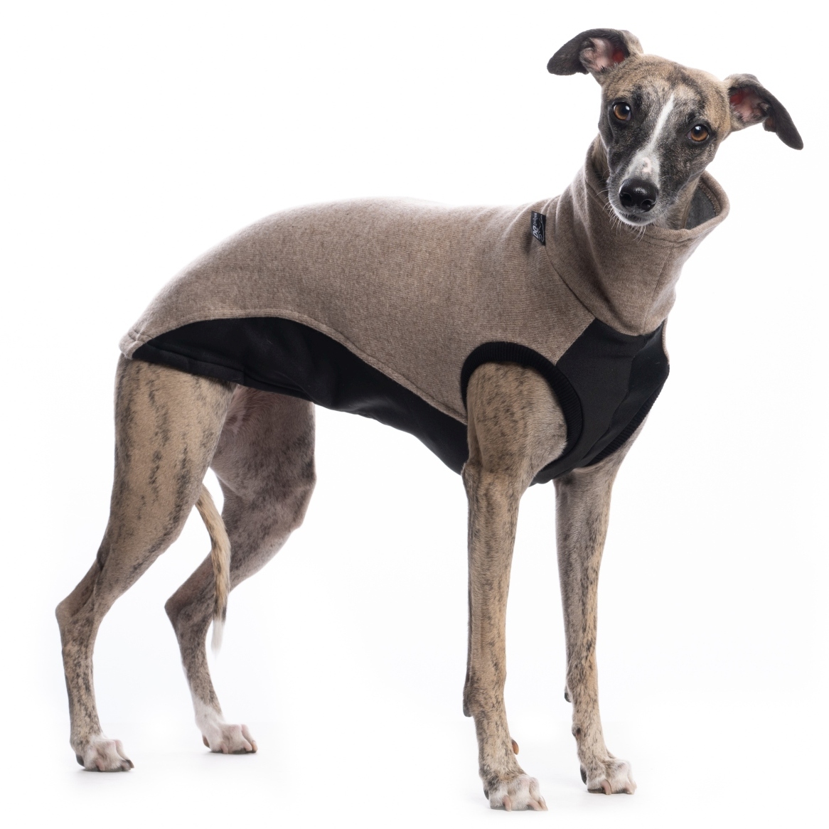 DG OUTDOOR JUMPER "BEIGE - Obrázek 5