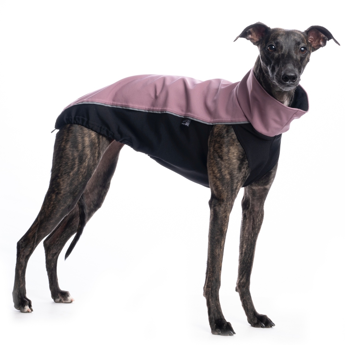 DG OUTDOOR TOP SOFT SHELL "ASH ROSE – Bild 3