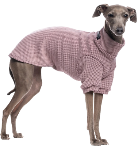 DG URBAN WINTER „KEEPSAKE LILAC