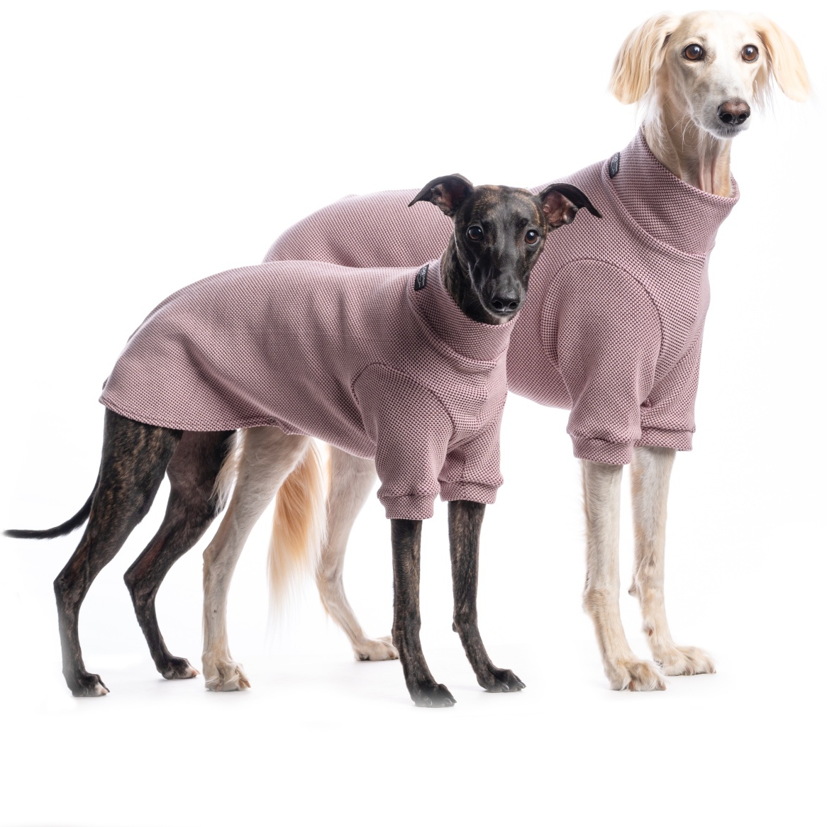 DG URBAN WINTER "KEEPSAKE LILAC – Bild 3