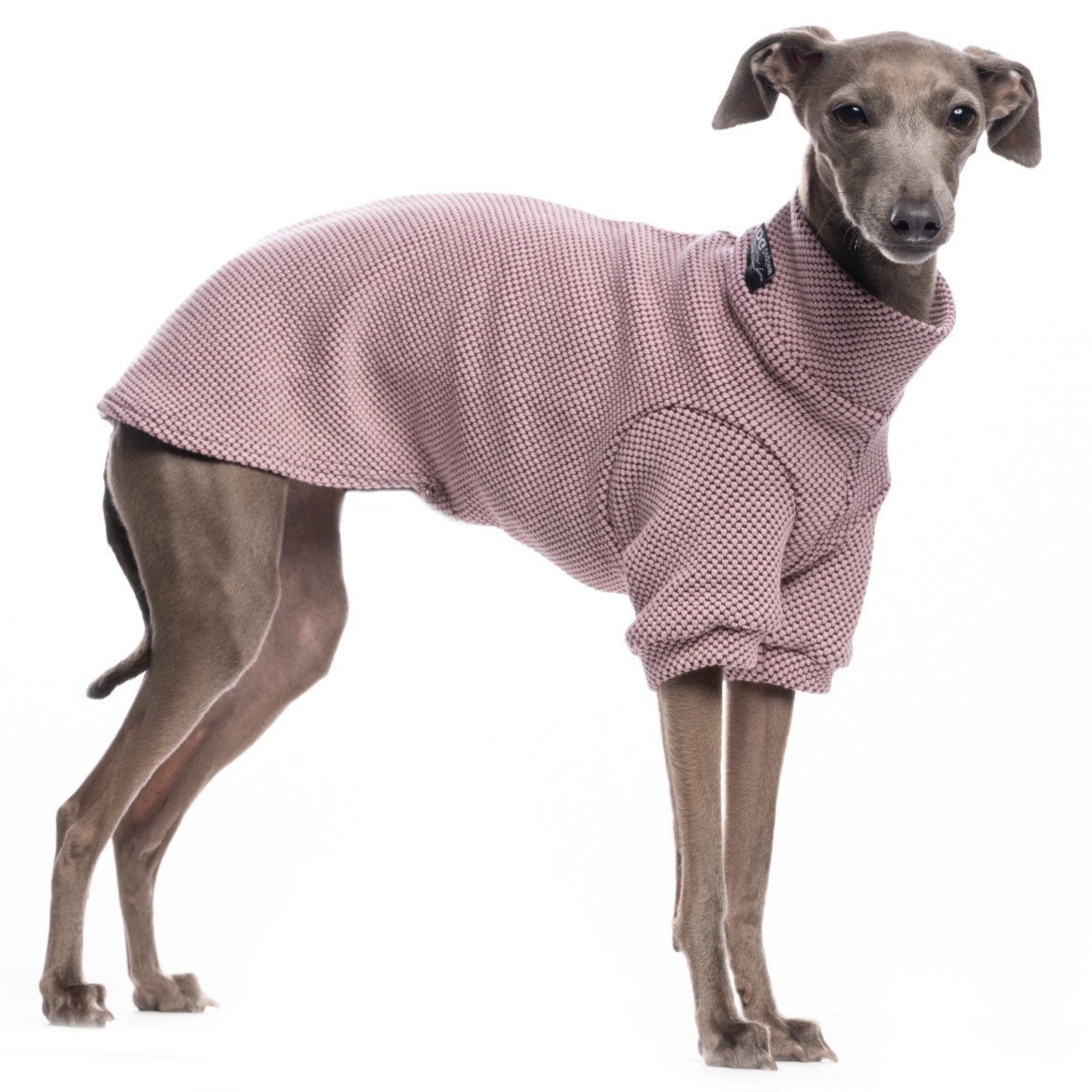 DG URBAN WINTER "KEEPSAKE LILAC – Bild 2