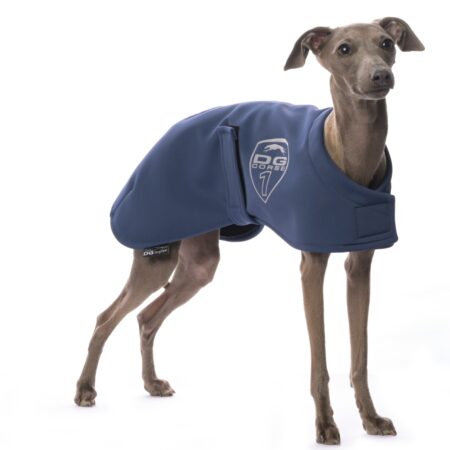 DG RACING WÄRMDECKE „INSIGN BLUE