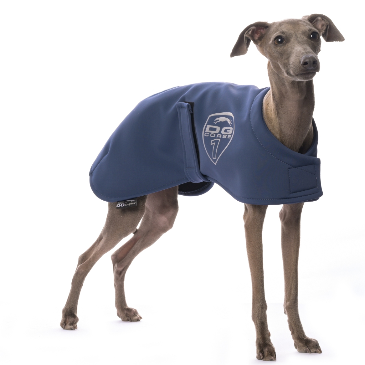 DG RACING WÄRMDECKE "INSIGN BLUE