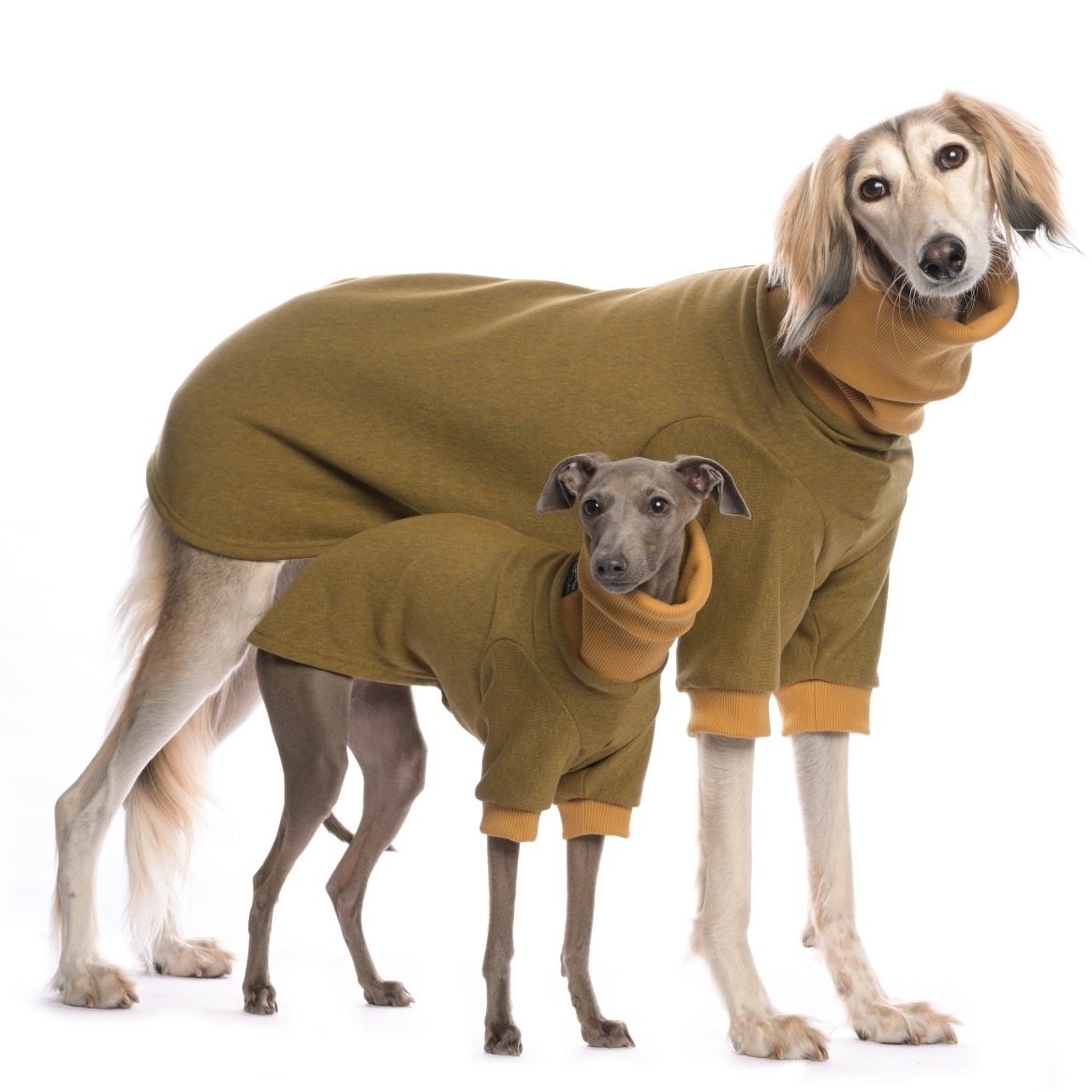 DG BASIC WINTER SWEATSHIRT "HONEY" - Image 2