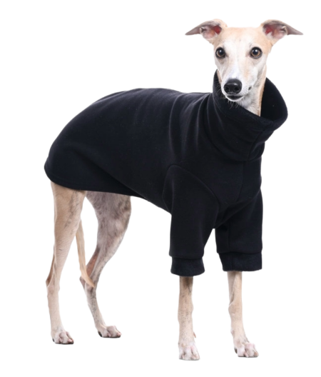 DG BASIC WARMKEEPER SWEATSHIRT “BLACK”