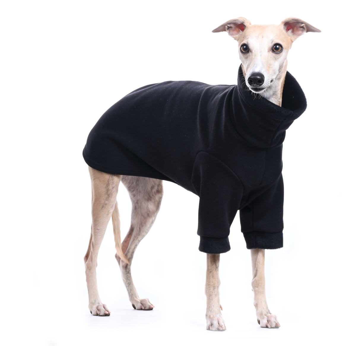 DG BASIC WARMKEEPER SWEATSHIRT "BLACK - Obrázek 2