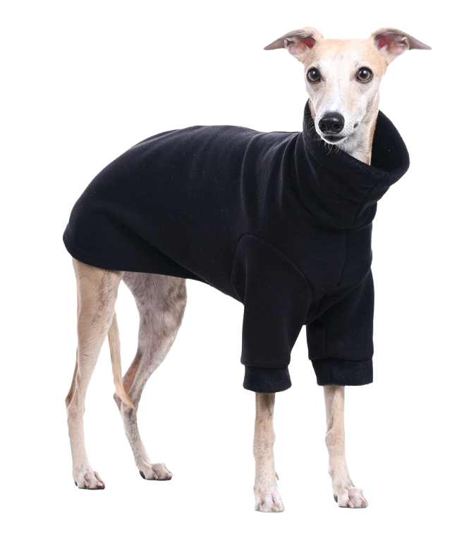 DG BASIC WARMKEEPER SWEATSHIRT "BLACK