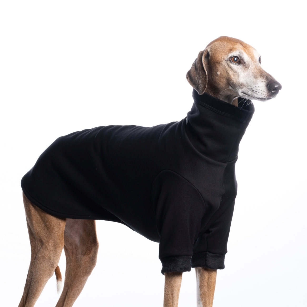 DG BASIC WARMKEEPER SWEATSHIRT "BLACK - Obrázek 3