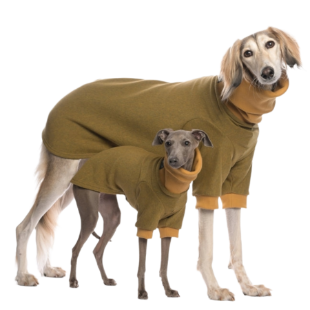 DG BASIC WINTER SWEATSHIRT “HONEY”
