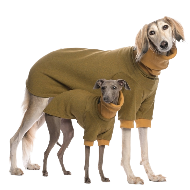 DG BASIC WINTER SWEATSHIRT "HONEY"