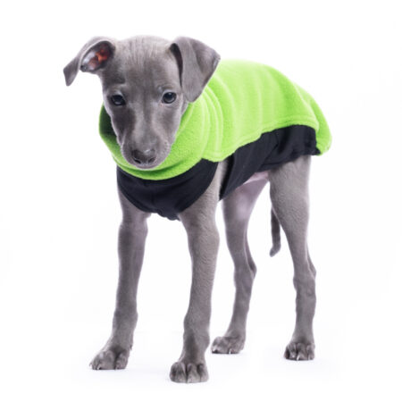 DG IG PUPPY TOP „GREEN